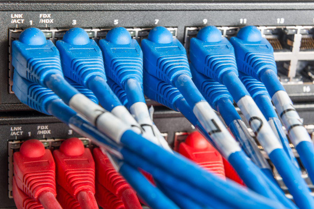 Network services picture of a networking device